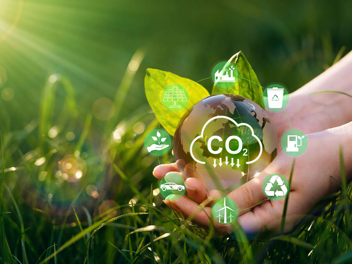Carbon footprint